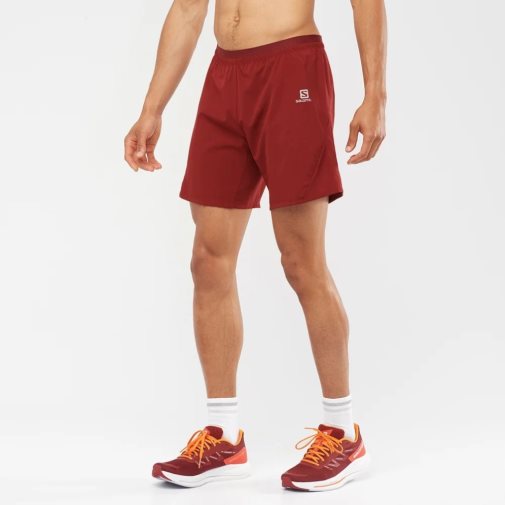 Red Salomon Cross 7'' Men's Shorts | IE WS0842